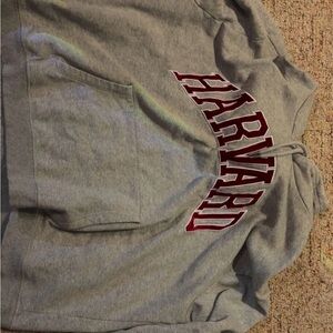 H&M Gray Hoodie with Red Lettering